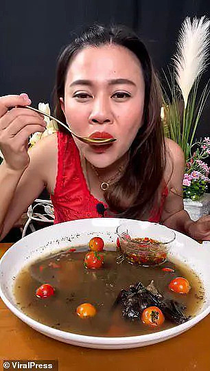泰国女子大吃蝙蝠惹众怒，“损人不利己”，已被逮或面临5年监禁（组图） - 3