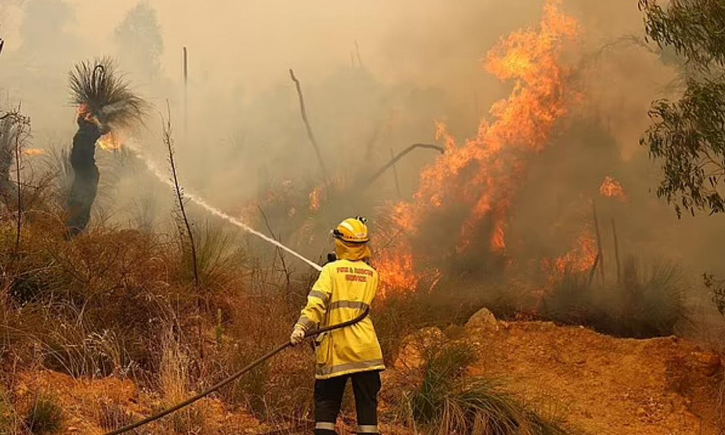 澳洲部分地区将迎危险山火季，当局：今年或比去年更糟（组图） - 3