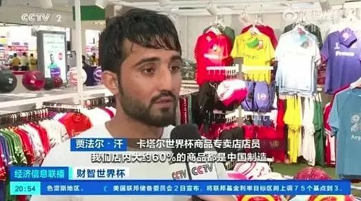 中国元素“包围”卡塔尔世界杯：除了国足，连大熊猫都去了（组图） - 4