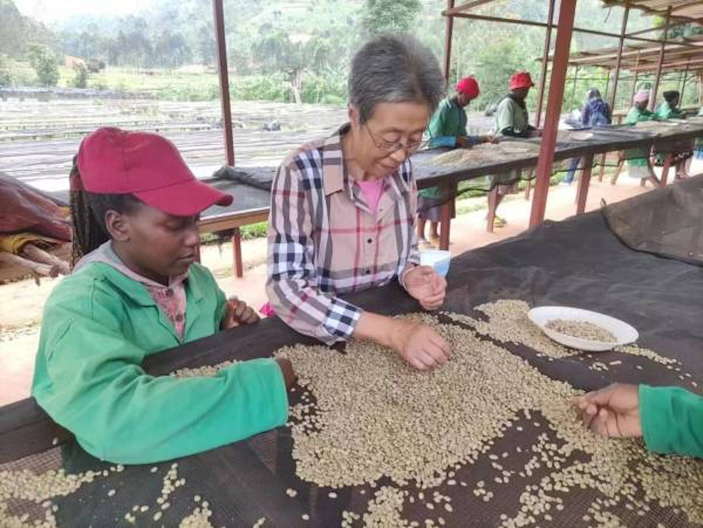 中國對建交國家中的一些國家提供了特別優惠關稅待遇，盧旺達也是其中之一。2020年中國從盧旺達進口2000多萬噸咖啡豆。（作者提供）