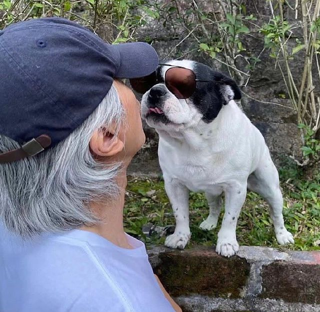 周星驰与爱犬亲密互动！满头银发戴棒球帽，墨镜架在狗头上（组图） - 3