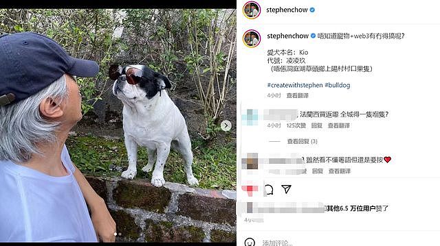 周星驰与爱犬亲密互动！满头银发戴棒球帽，墨镜架在狗头上（组图） - 1