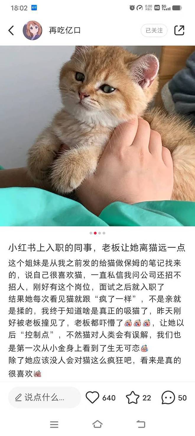 23岁女生在杭州带薪撸猫：月薪6000元，朝九晚五周末双休（组图） - 12