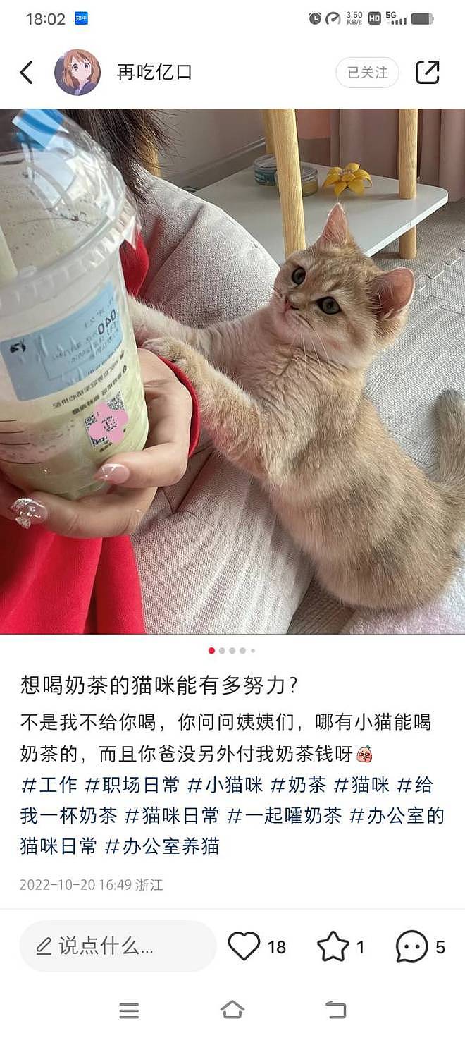 23岁女生在杭州带薪撸猫：月薪6000元，朝九晚五周末双休（组图） - 13
