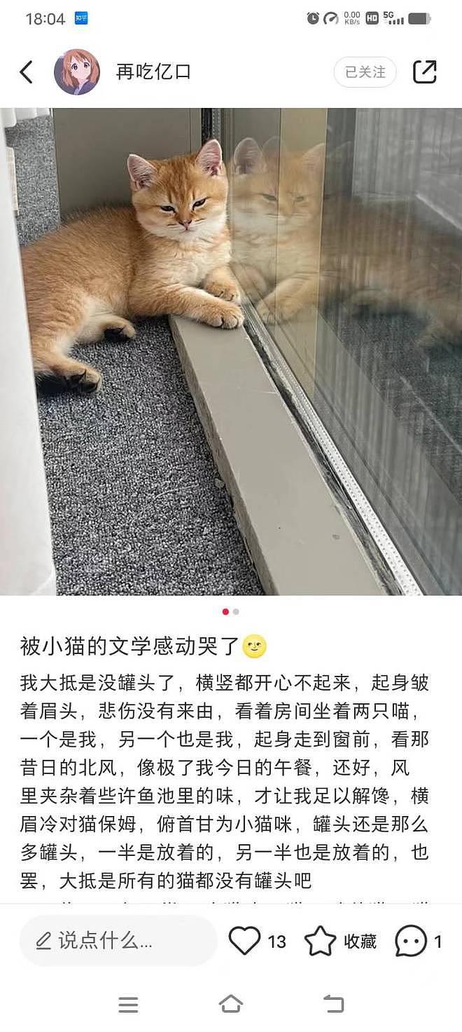 23岁女生在杭州带薪撸猫：月薪6000元，朝九晚五周末双休（组图） - 14