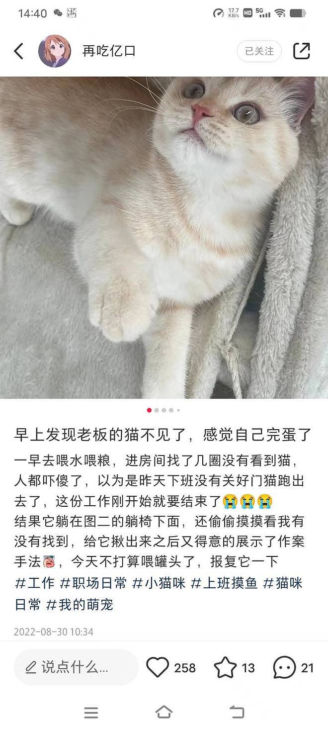 23岁女生在杭州带薪撸猫：月薪6000元，朝九晚五周末双休（组图） - 15