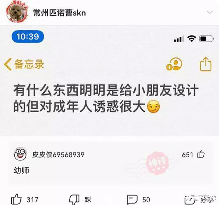 【爆笑】有什么东西明明是给小朋友设计的，但对成年人诱惑很大？（组图） - 19