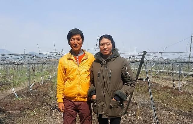 【情感】韩国大叔爱上湖北姑娘，甘心做了12年中国农民，金色果园里种满她最爱吃的猕猴桃（组图） - 8