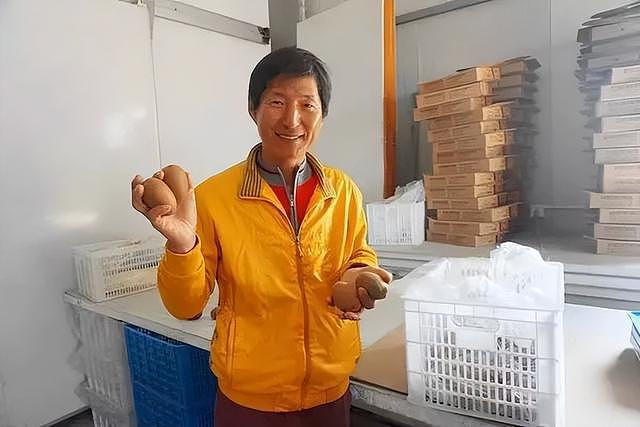 【情感】韩国大叔爱上湖北姑娘，甘心做了12年中国农民，金色果园里种满她最爱吃的猕猴桃（组图） - 11