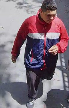 紧急寻人！悉尼13岁男孩失踪数日，曾现身华人聚居区车站（组图） - 3