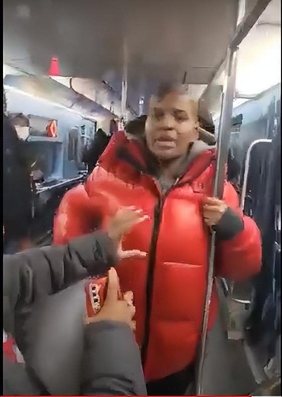 纽约华人地铁遭仇恨攻击，非裔少年挑衅要求让座，飙骂“亚洲猪”（组图） - 2
