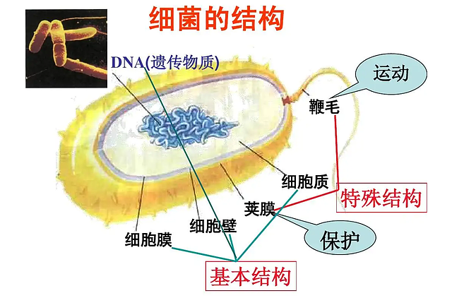 新冠特效药网上开售后被要求下架！它可能永远都不会出现了...（组图） - 5