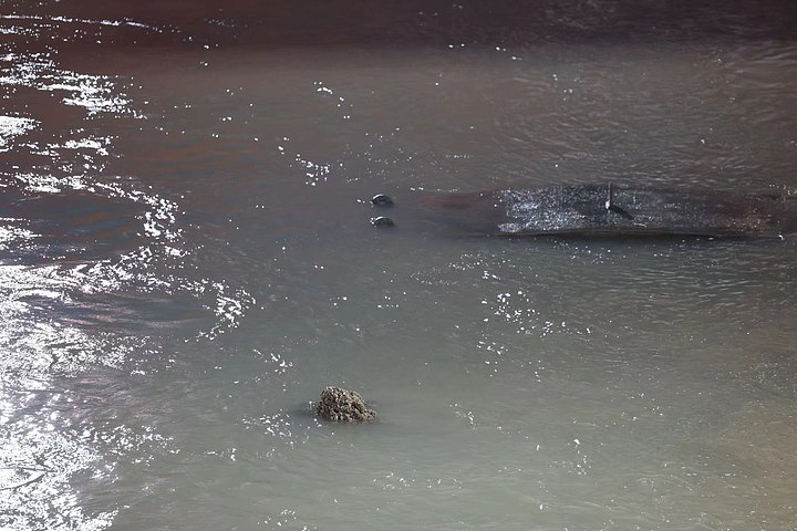 11月21日拍摄的长江口二号古船桅杆出水画面。新华社记者 金立旺 摄