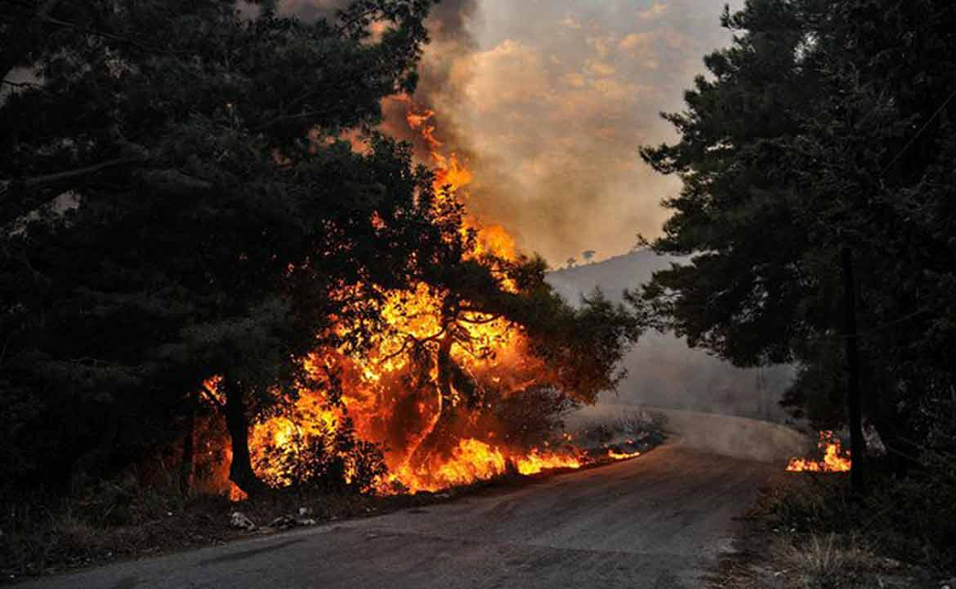 珀斯居民被警告，丛林火灾受炎热天气影响严重，需提前做好应灾计划（组图） - 3