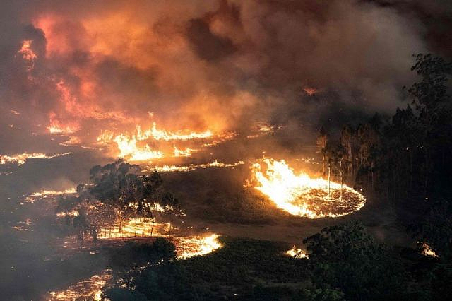 珀斯居民被警告，丛林火灾受炎热天气影响严重，需提前做好应灾计划（组图） - 4