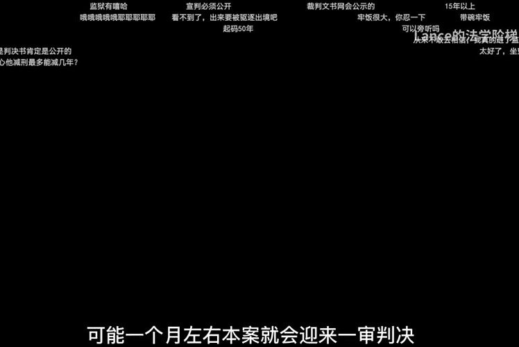 吴亦凡强奸、聚众淫乱案二审宣判！有期徒刑13年，驱逐出境，吴妈妈发长文：依然会为儿子申诉（组图） - 9