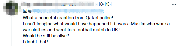 卡塔尔世界杯球场保安禁止穿十字军服饰的英格兰球迷入场！英活动人士：他们不是故意的（组图） - 8