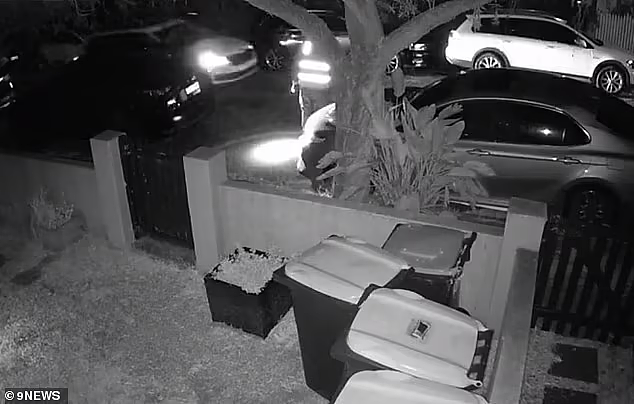 禁区停车被抓包！悉尼男子逃罚单撞上一人两车，停车巡逻员受伤送医（视频/组图） - 2