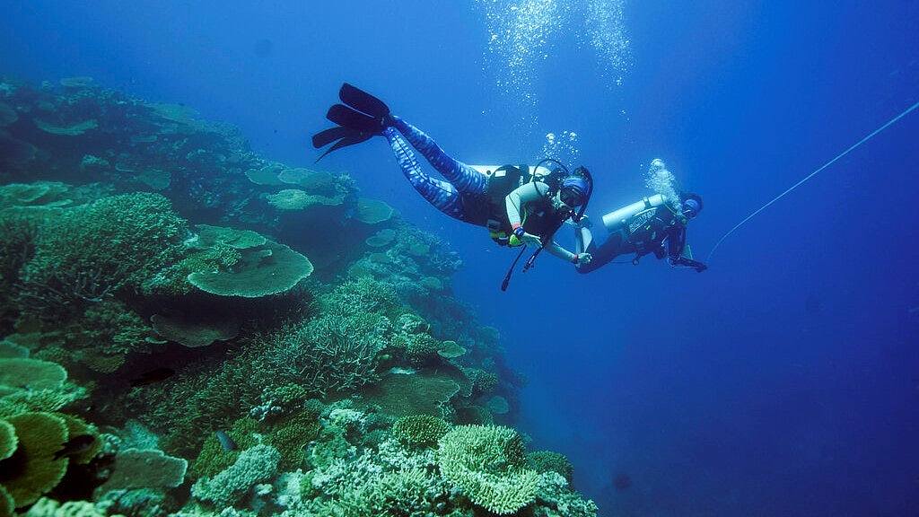 聯合國建議將大堡礁列入瀕危世界遺產名錄　澳洲政府反對