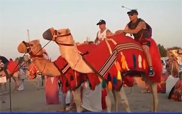 世界杯带火卡塔尔旅游业 超百万游客涌入：骆驼也得“加班”（组图） - 2
