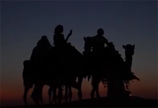 世界杯带火卡塔尔旅游业 超百万游客涌入：骆驼也得“加班”（组图） - 3