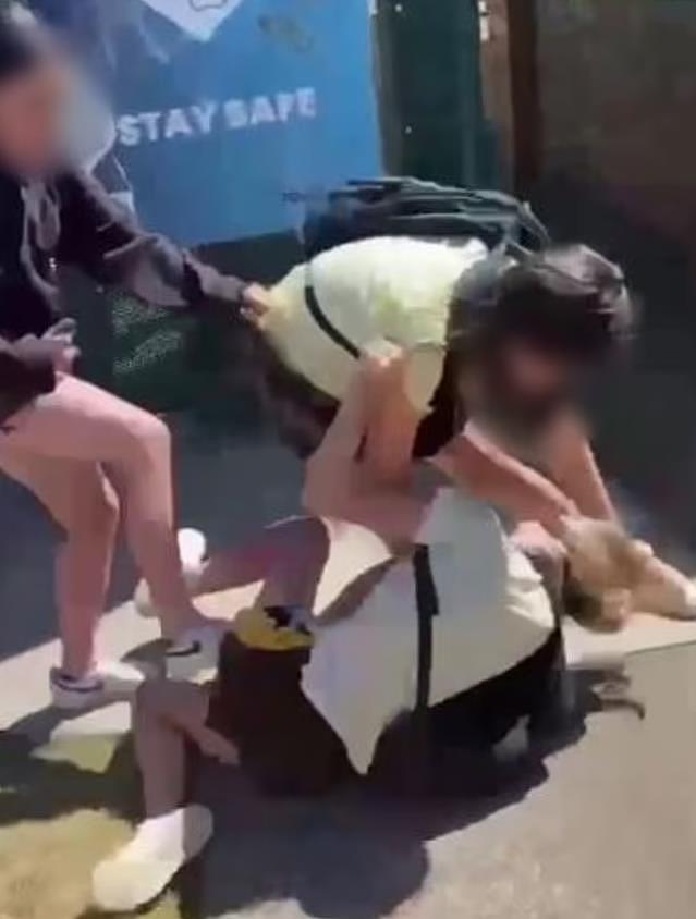 悉尼高中发生校园暴力事件！8年级女孩遭拳打脚踢，视频记录可怕瞬间（视频/组图） - 3