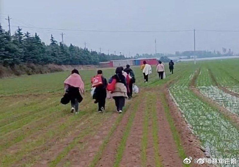富士康工人逃离郑州厂区，徒步返乡。 (取材自微博)