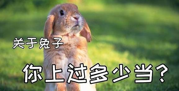 【宠物】关于兔子的误会：我被兔子咬后应该接种疫苗吗？兔子真的不能喝水（组图） - 3