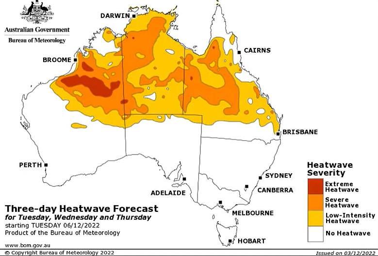 极端热浪袭澳，部分地区气温升至46度！气象局发出警告（组图） - 3