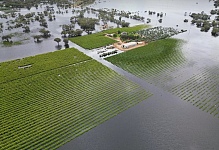 维州近50万公顷农田被淹，面积等于半个墨尔本（组图）