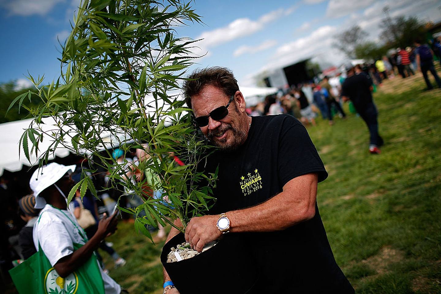圖為2016年4月23日，在華盛頓特區舉行的首屆年度國家大麻節上，一名水培種植設備的供應商將一株大麻植物搬到他的售貨攤位上。(Getty Images)