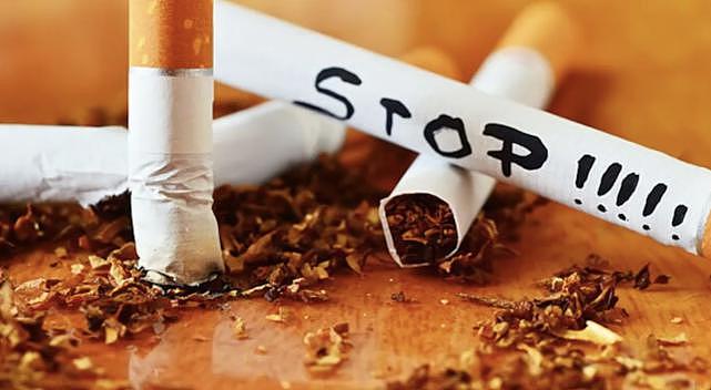 新西兰计划打造无烟国，明年起将对年轻一代禁烟（组图） - 8