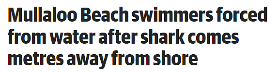 2.5米虎鲨频现珀斯人气海滩，离人仅5米，夏日戏水，务必小心 - 1