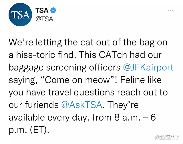 【宠物】“房东的猫偷偷溜进我的行李箱，被机场X光机查出，当场逮捕！”（组图） - 2