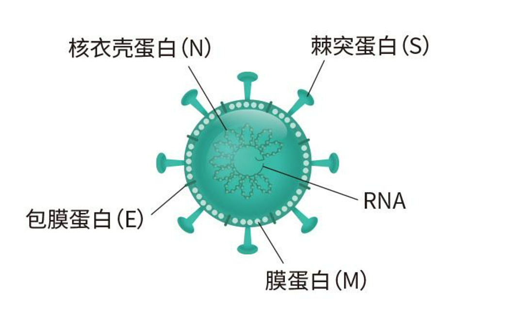 新冠“特效药”的门槛很高，一般人真迈不过去（组图） - 6