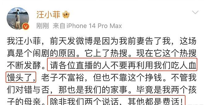 张兰自曝和汪小菲已无联系，自责是不合格母亲（组图） - 13