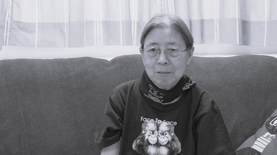 香港作家西西心脏衰竭逝世 享年85岁（图） - 1
