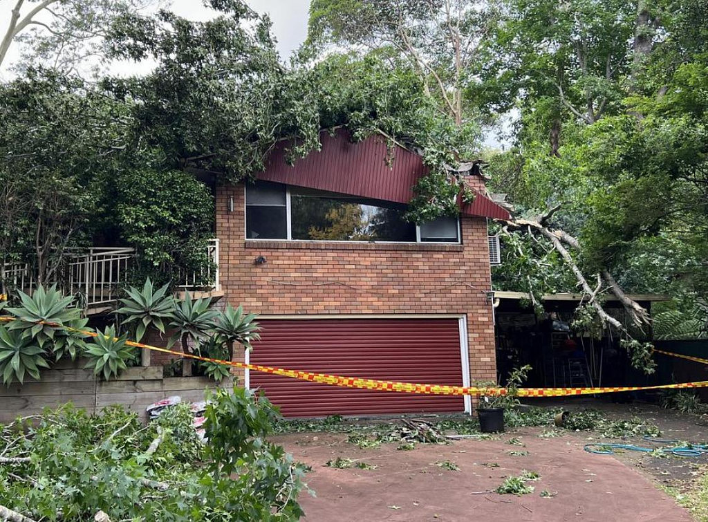 30米大树砸中悉尼民宅，屋顶被砸烂！一家6口紧急撤离（组图） - 2