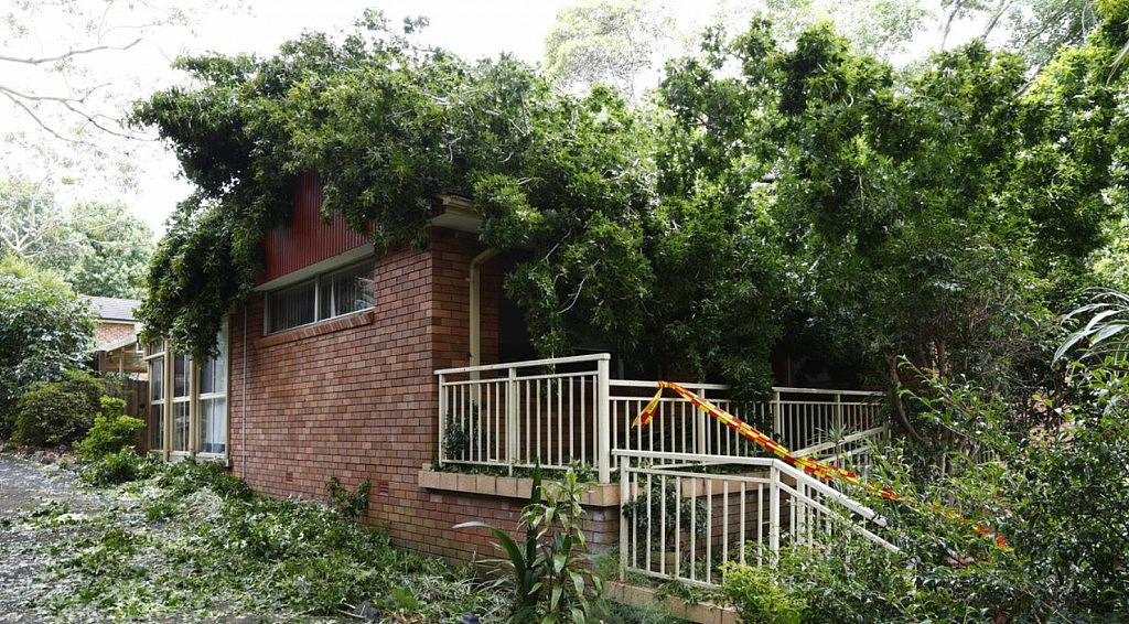 30米大树砸中悉尼民宅，屋顶被砸烂！一家6口紧急撤离（组图） - 4