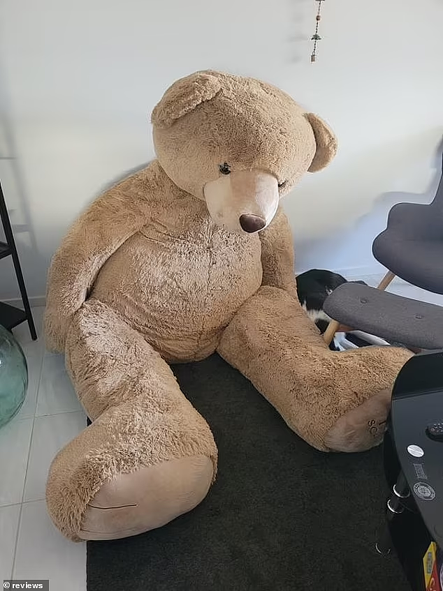 Target巨型泰迪熊从$999降至$299，运费$250！网友：免费送我都不要（组图） - 3