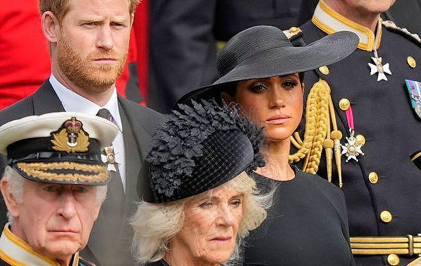 英国国王查尔斯回应Netflix纪录片，邀请哈里与梅根参加加冕仪式（组图） - 5