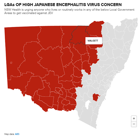今年夏季首例！新州男子感染日本脑炎，卫生厅呼吁民众做好预防（组图） - 3