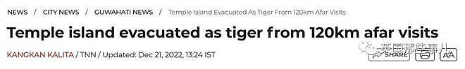 老虎的耐力有多强？一孟加拉虎落水游10小时后得救（组图） - 1