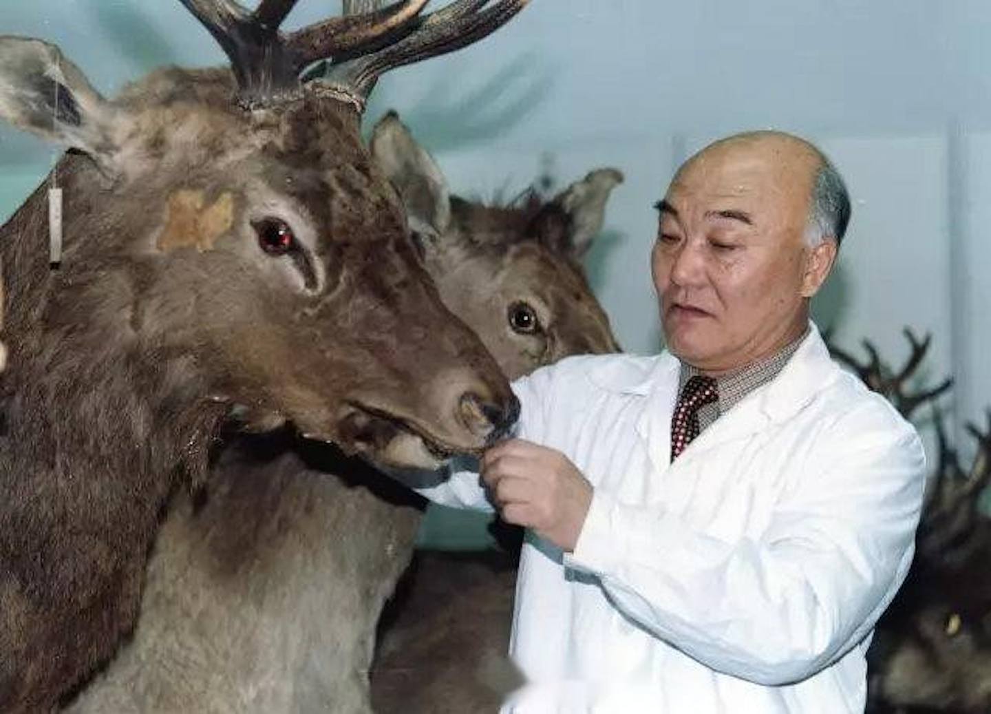 馬建章院士一生守護野生動物。(北京日報)