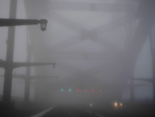 悉尼今晨遭浓雾”封锁”！海港大桥“隐身”，渡轮全部停运（组图） - 3