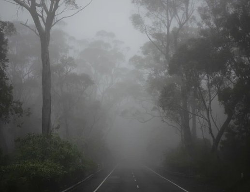 悉尼今晨遭浓雾”封锁”！海港大桥“隐身”，渡轮全部停运（组图） - 4