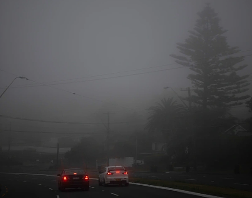 悉尼今晨遭浓雾”封锁”！海港大桥“隐身”，渡轮全部停运（组图） - 6