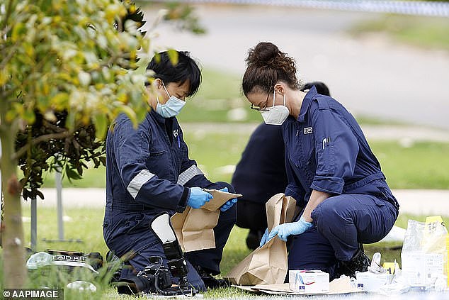 Forensic officers combed the scene for clues on Wednesday morning