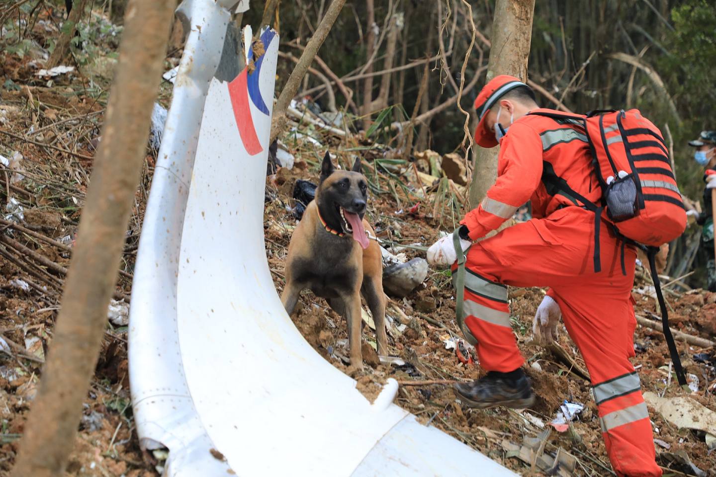 東航MU5735航班墜機事故現場核心區，救援隊與搜救犬持續搜索。（新華社）