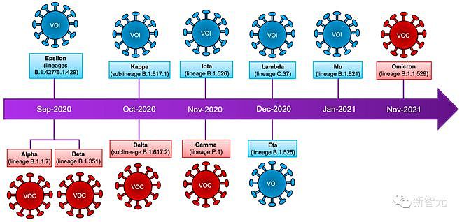 新冠终结者来了！斯坦福研发最新疫苗秒杀所有变异（组图） - 14